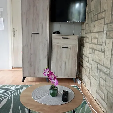 Privatni Smestaj Tesevic דירה