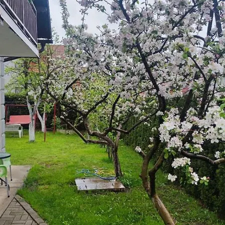 Privatni Smestaj Tesevic