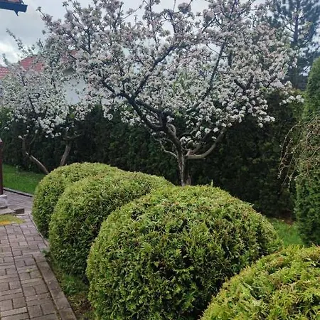 Apartment Privatni Smestaj Tesevic