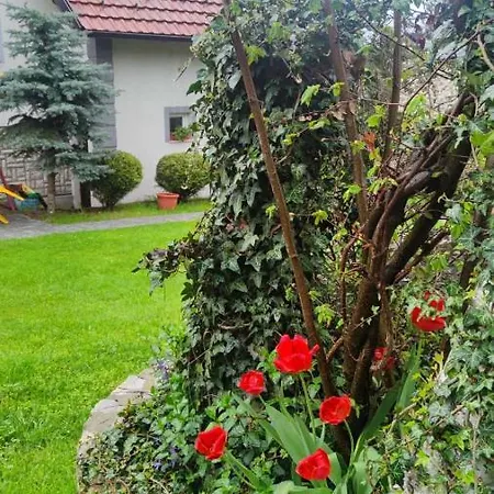 Privatni Smestaj Tesevic *