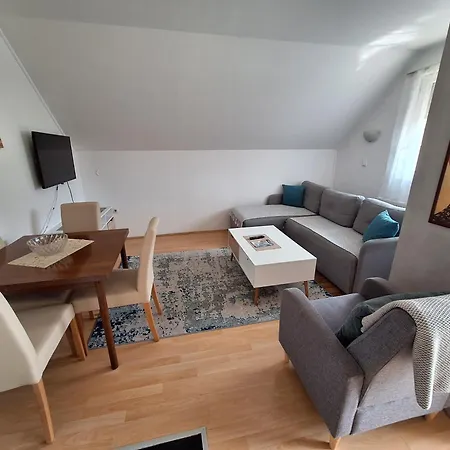 Appartement Privatni Smestaj Tesevic *