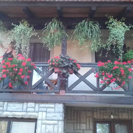 Privatni Smestaj Tesevic Appartement *