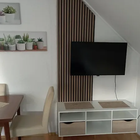 Privatni Smestaj Tesevic Appartement Zlatibor